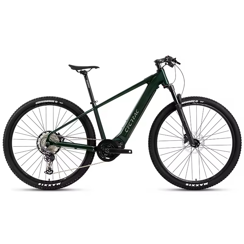 EM5 Electric Mountain Bicycle 250-500W Mid-Drive Motor Integrated Battery and Internal LCD Digital Emtb Bike for Adults