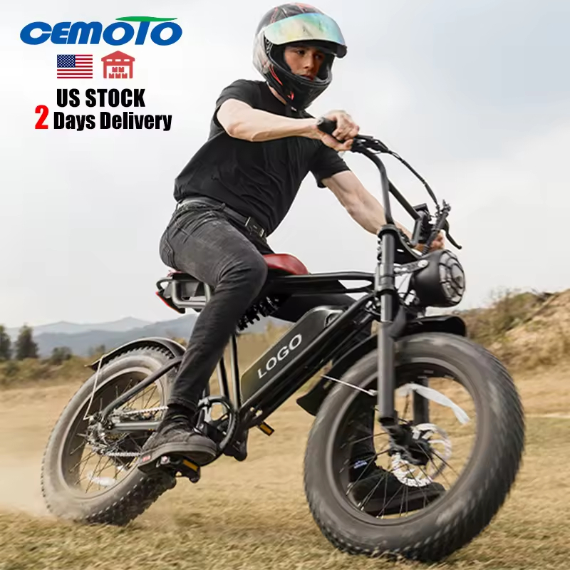 US EU Warehouse Hybrid Electric Bike High Speed off Road Ebike Full Suspension Fast 20 Inch Fat Tire Electric Bike in Stock