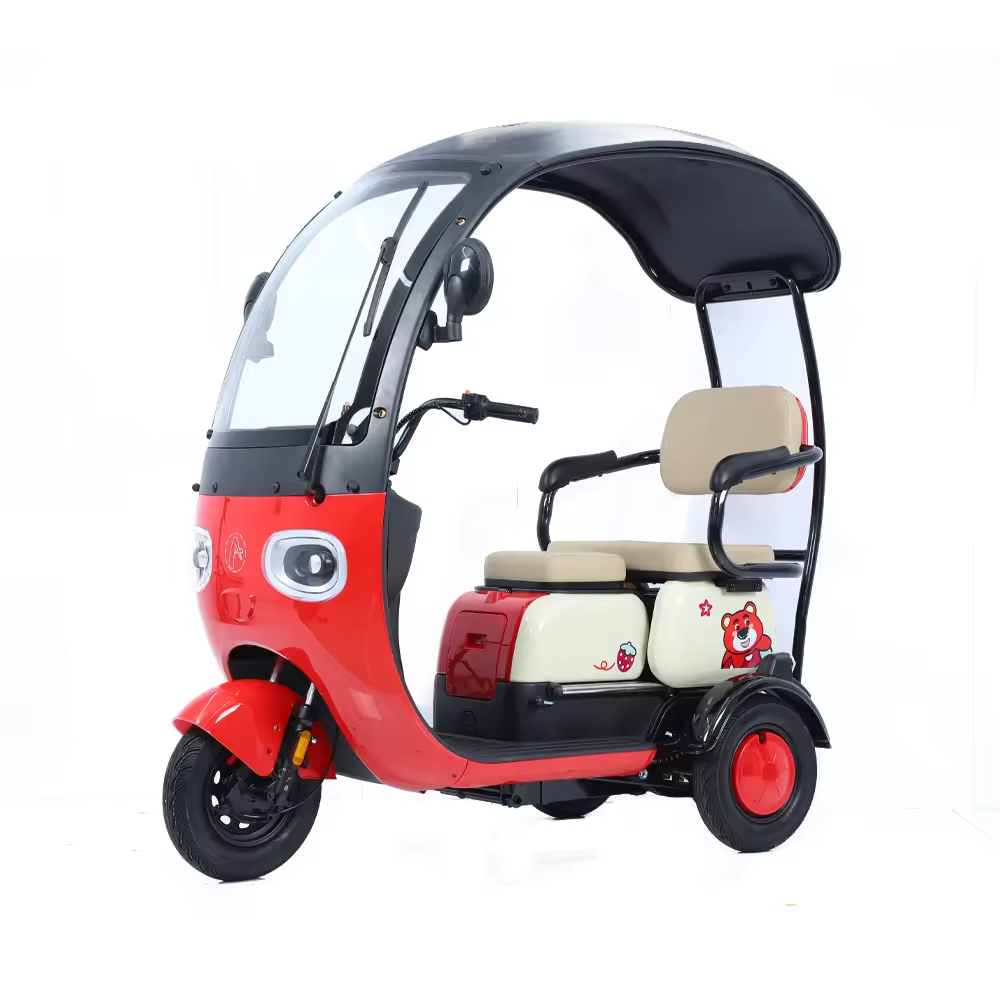 2024 Hot Sale E Trike 3 Wheel Electric Bike 800W Three Wheel Electric Cargo Tricycle for Adults
