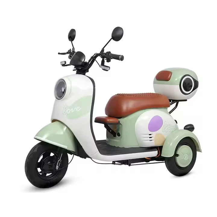 EU Popular 600_800 w Electric Passenger Rickshaw Pedicab Electric Cargo Tricycle for Family