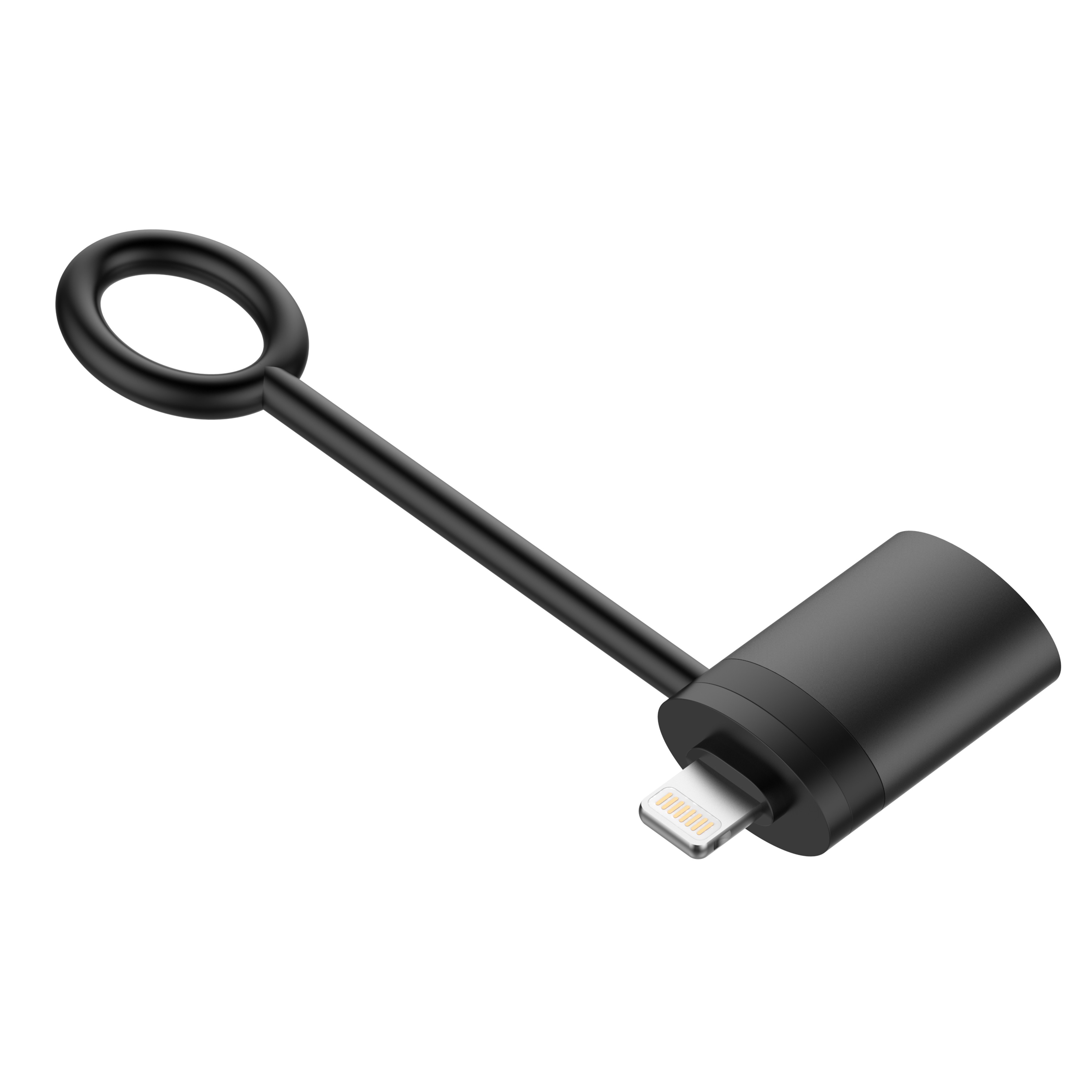 LC290	"USB Convertor Lightning to USB-A"