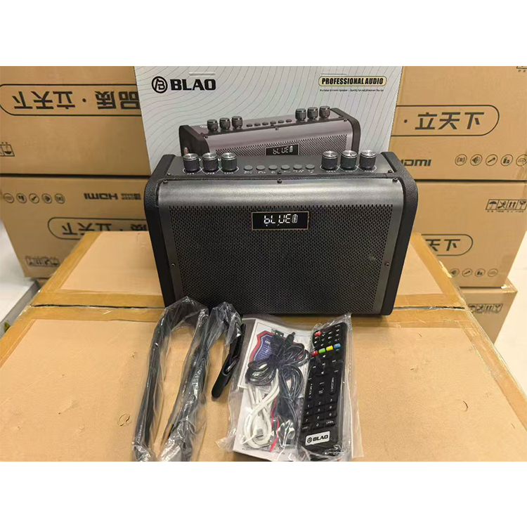 BLAO D7 professional portable speaker, which supports multiple audio sources such as musical instrument input, microphone, Bluet